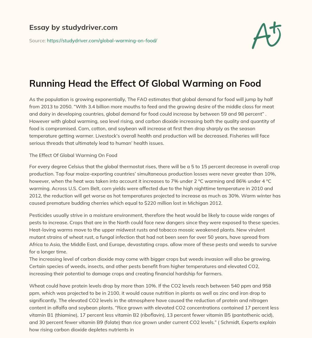 Running Head the Effect of Global Warming  on Food essay