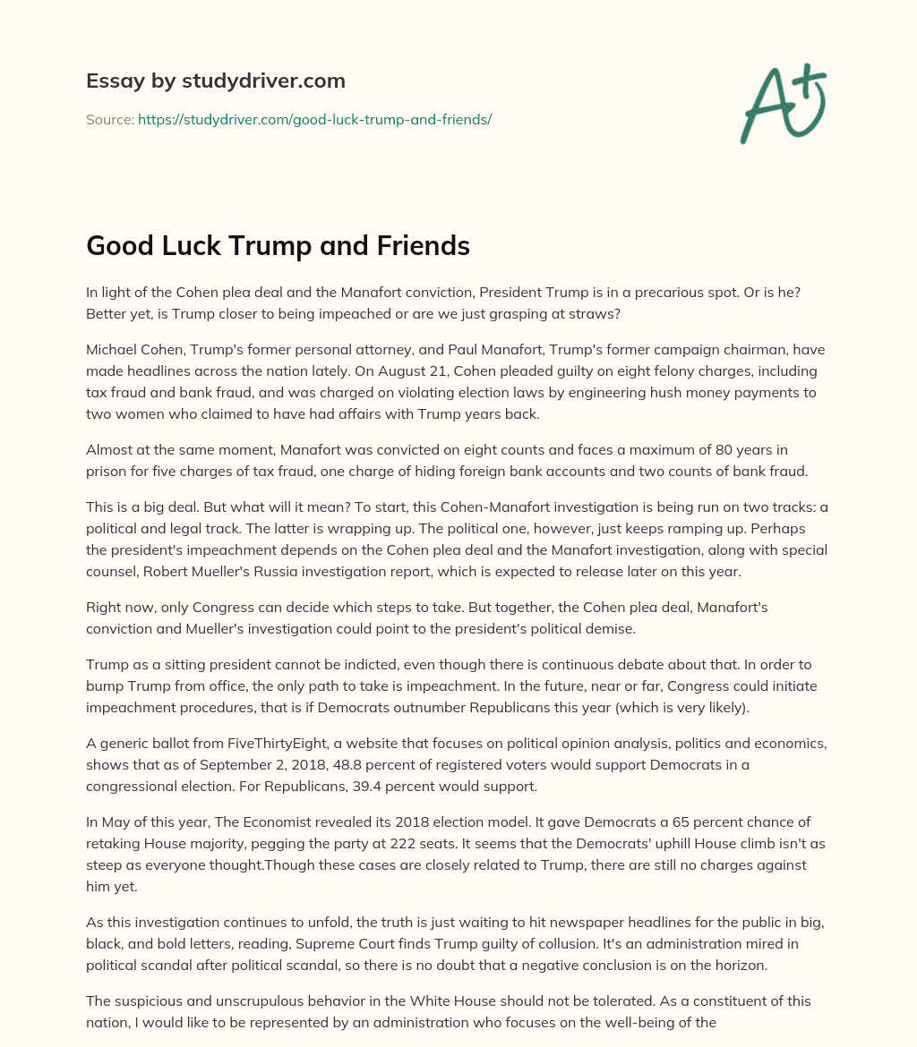 Good Luck Trump and Friends essay