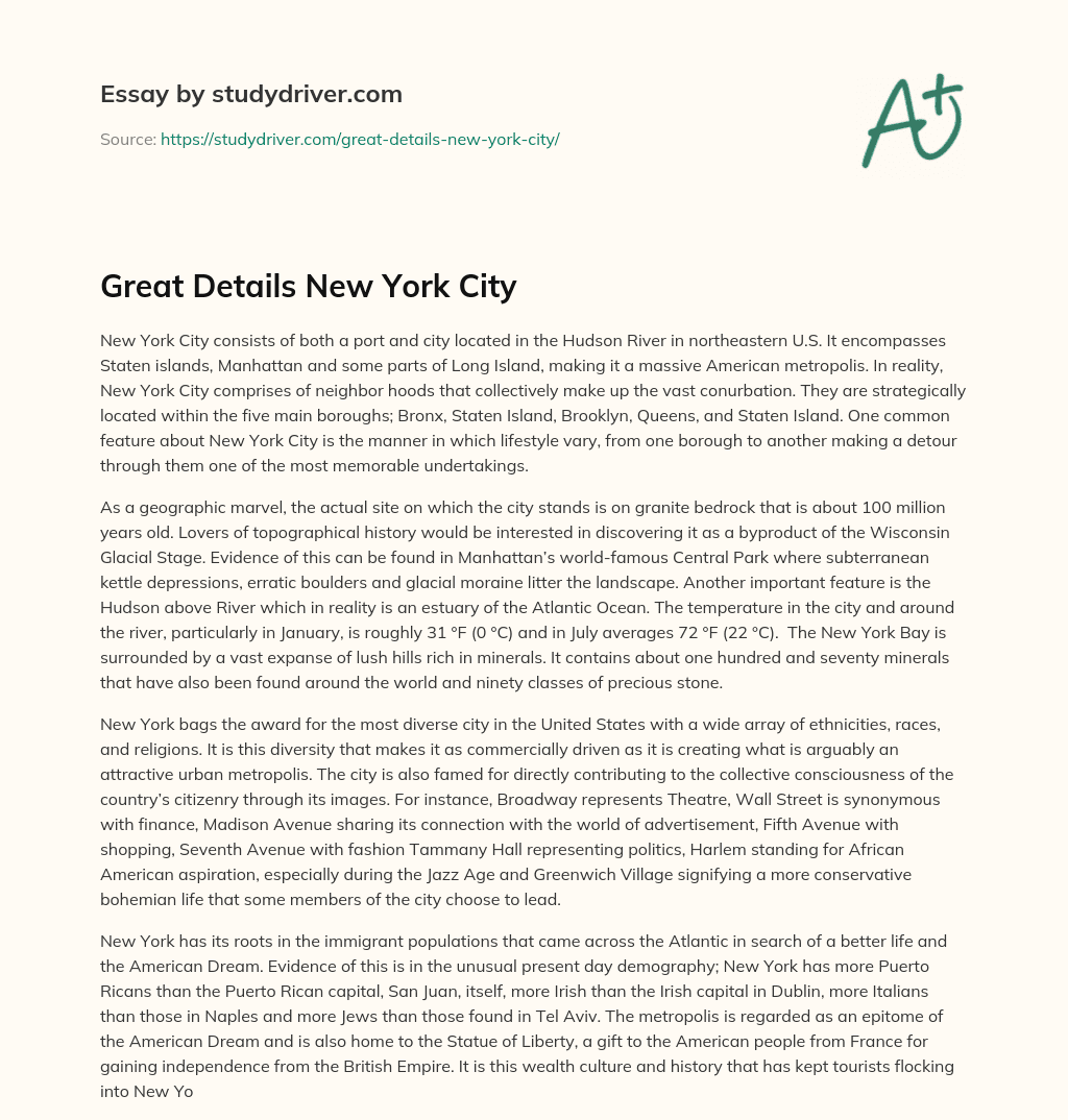 Great Details New York City essay