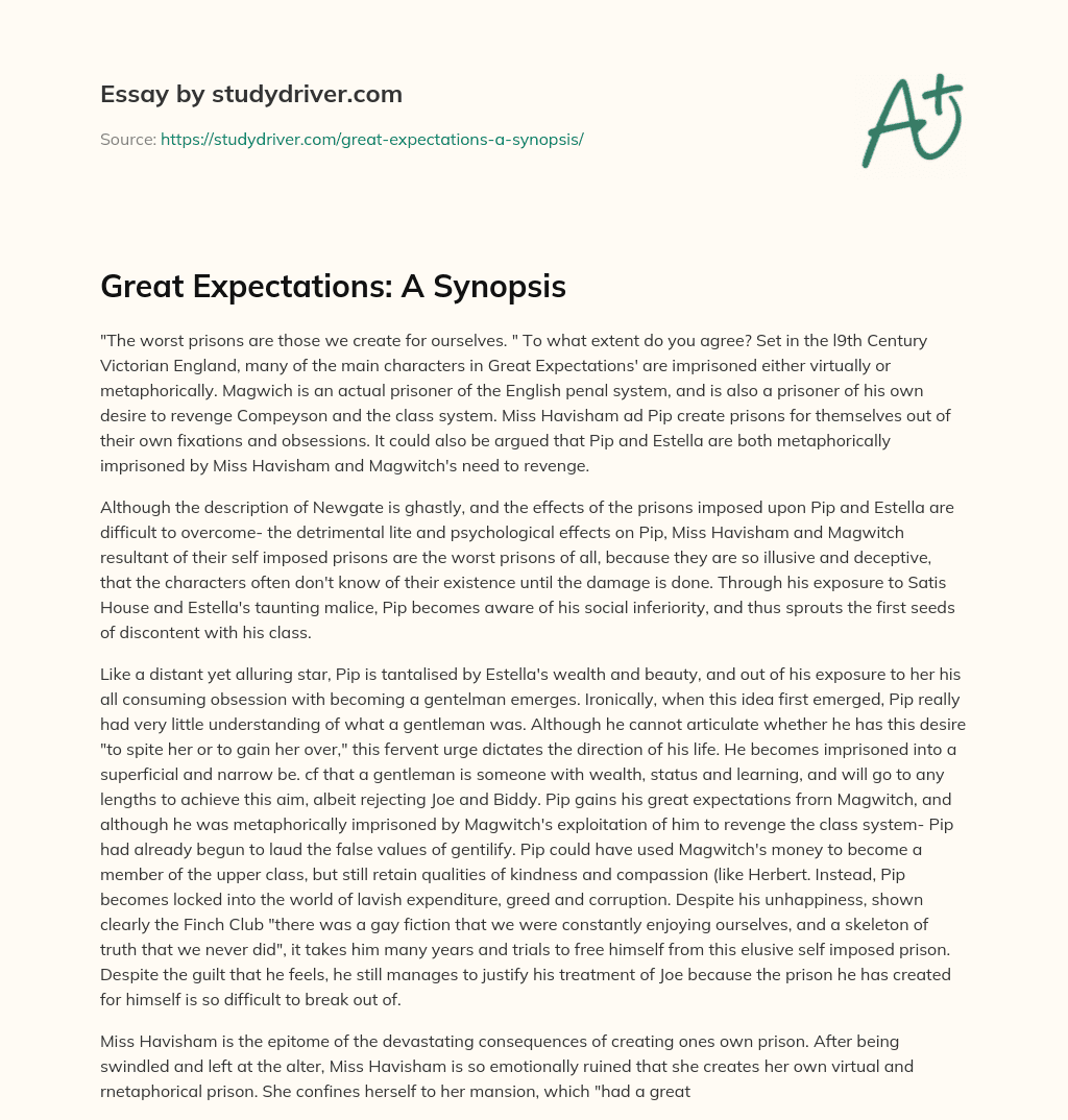 Great Expectations: a Synopsis essay
