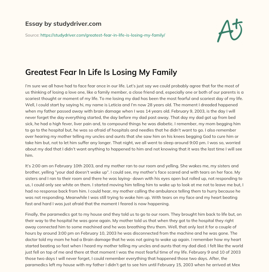 Greatest Fear in Life is Losing my Family essay