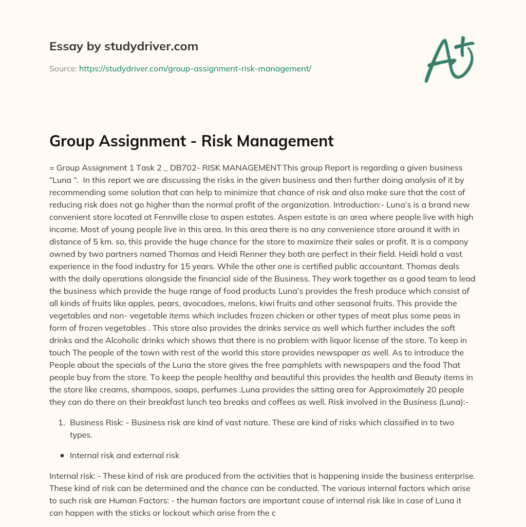 Group Assignment – Risk Management essay