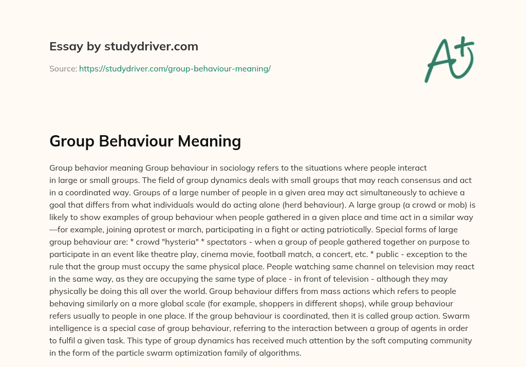Group Behaviour Meaning essay