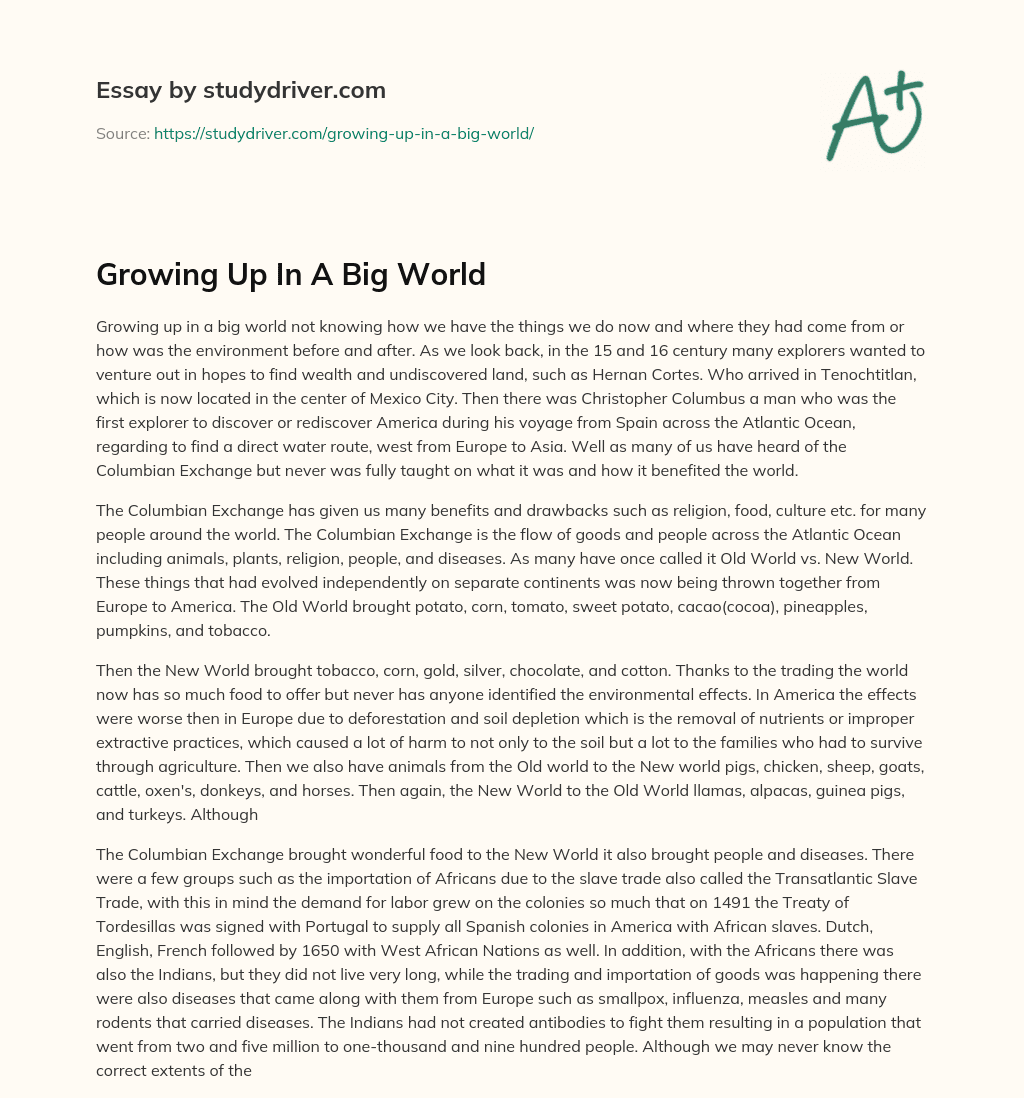 Growing up in a Big World essay