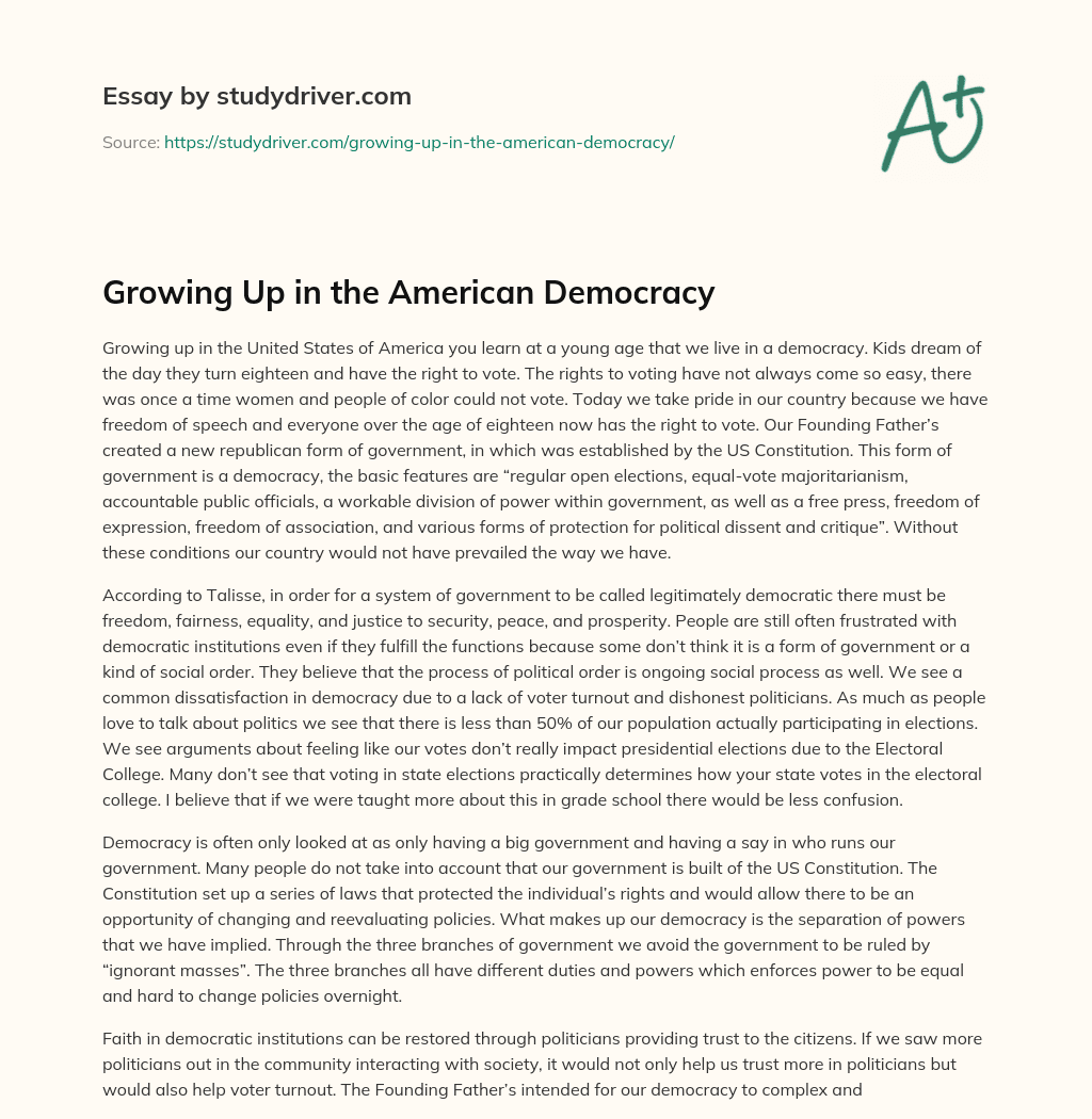 Growing up in the American Democracy essay