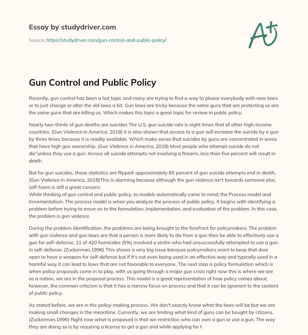 Gun Control and Public Policy essay