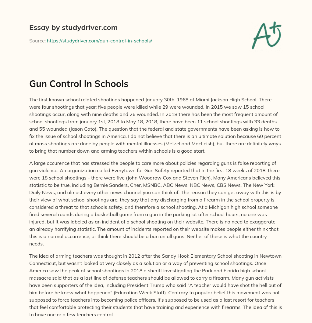 Gun Control in Schools essay