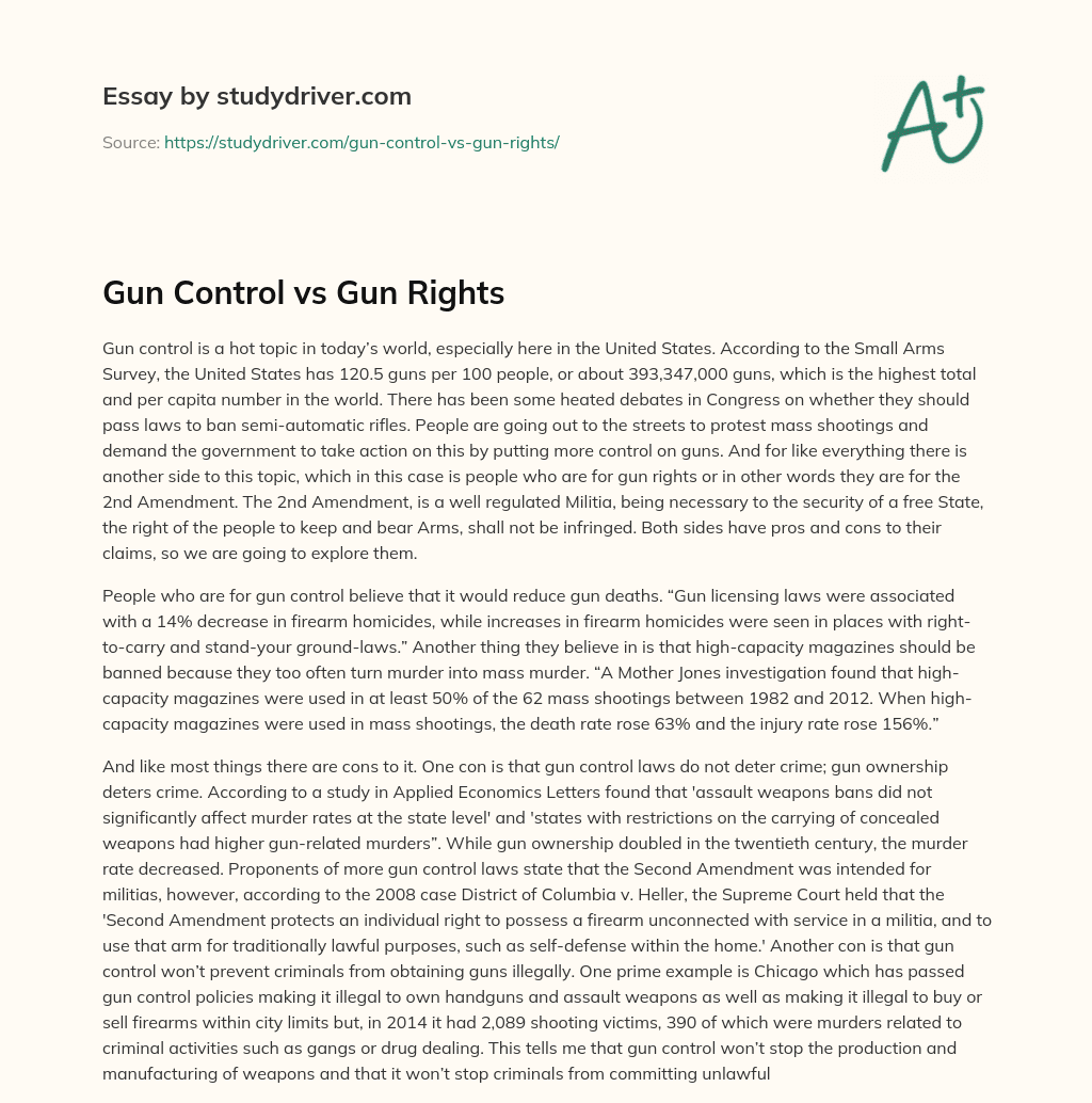 Gun Control Vs Gun Rights essay