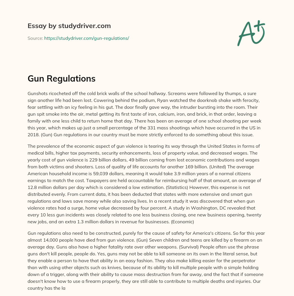 Gun Regulations essay