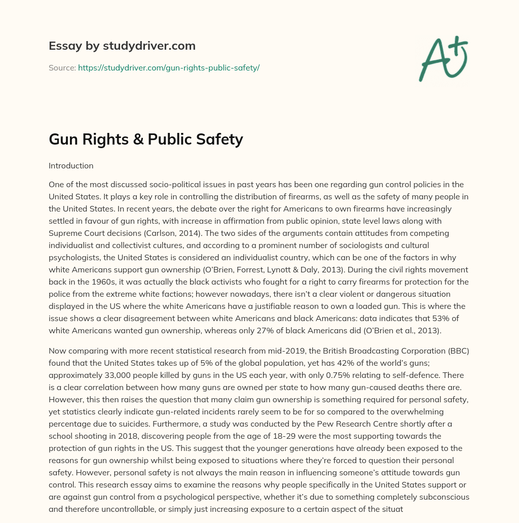 Gun Rights & Public Safety essay