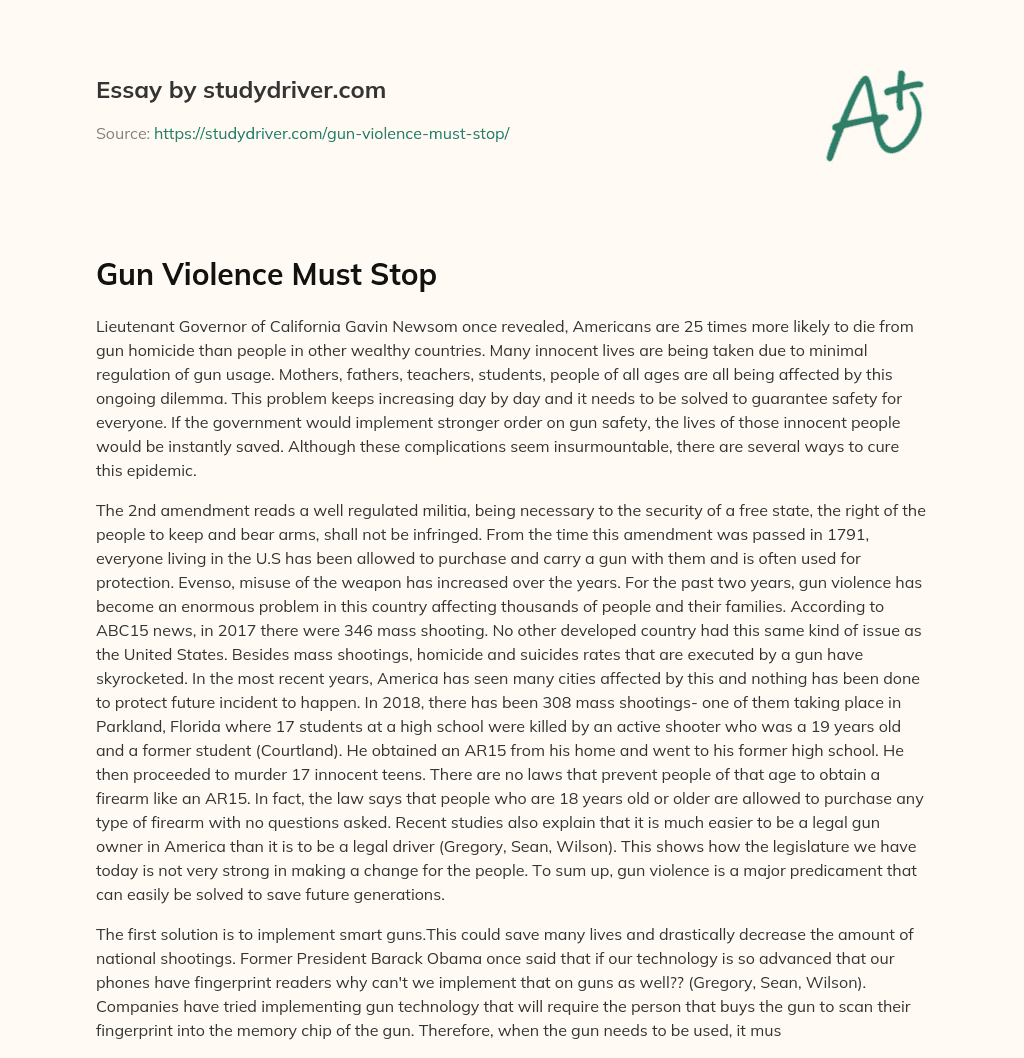 Gun Violence Must Stop essay
