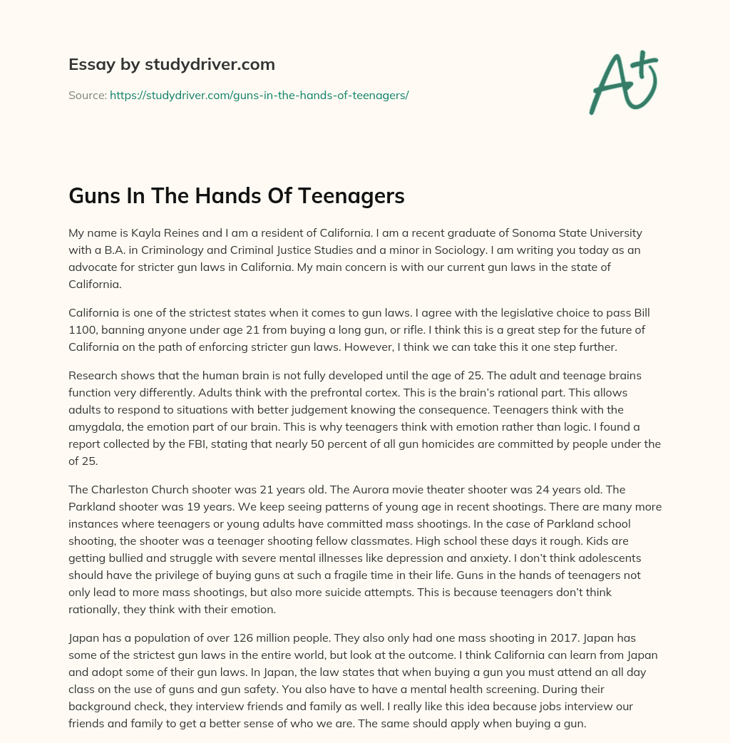Guns in the Hands of Teenagers essay