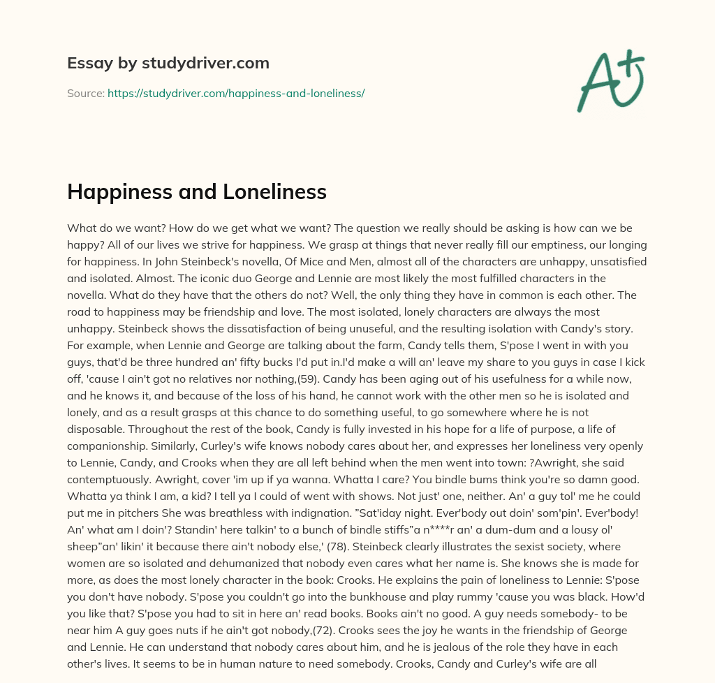 Happiness and Loneliness essay