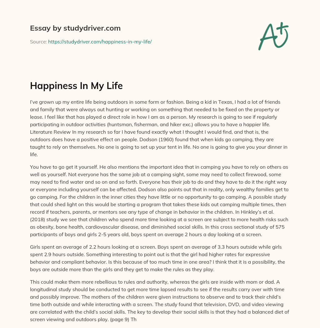 Happiness in my Life essay