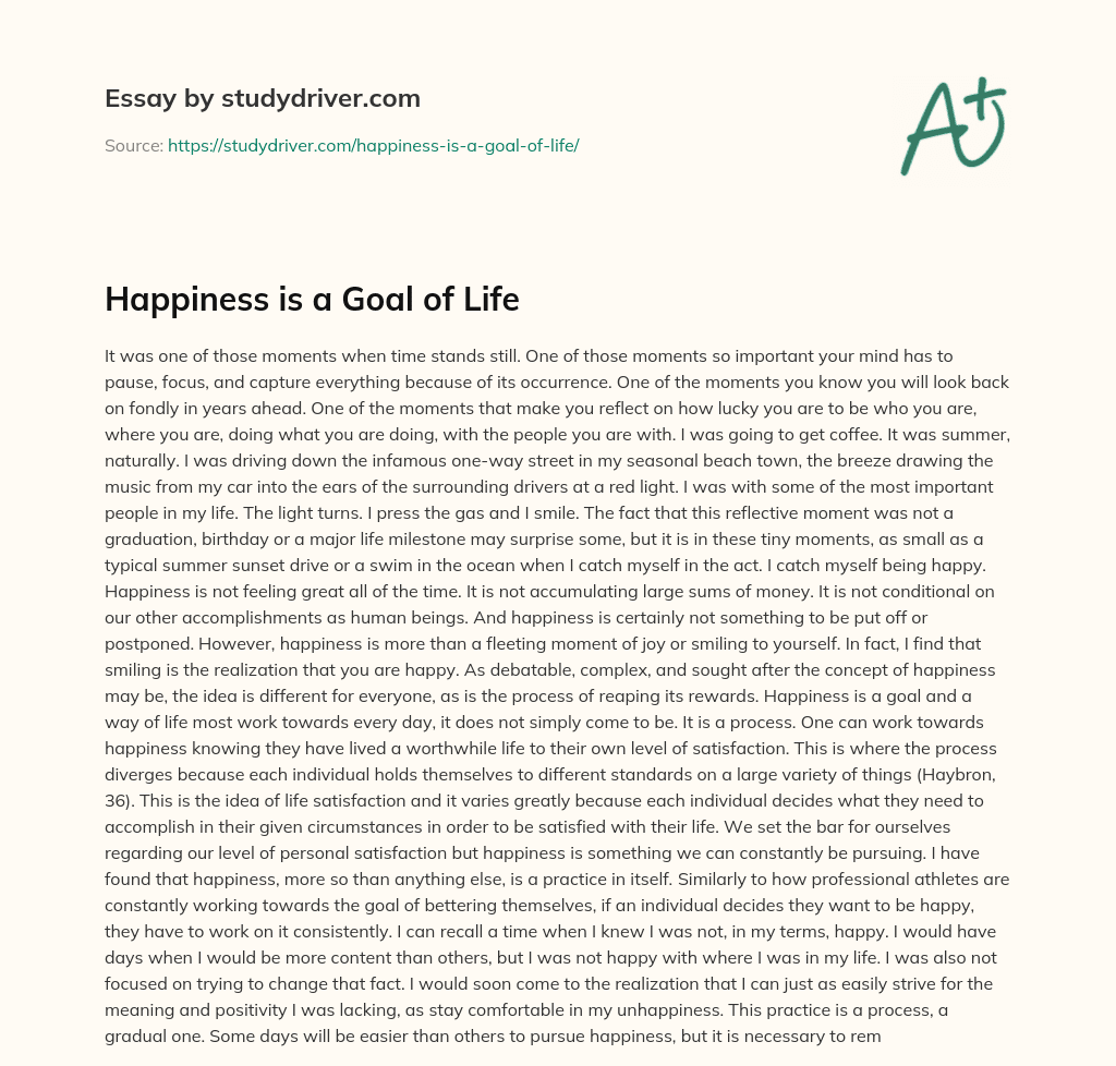 Happiness is a Goal of Life essay