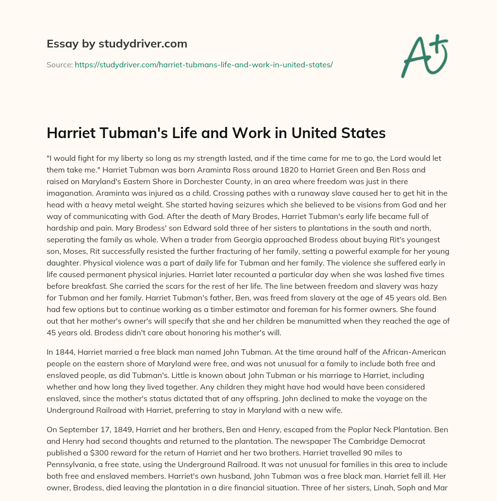 Harriet Tubman’s Life and Work in United States essay