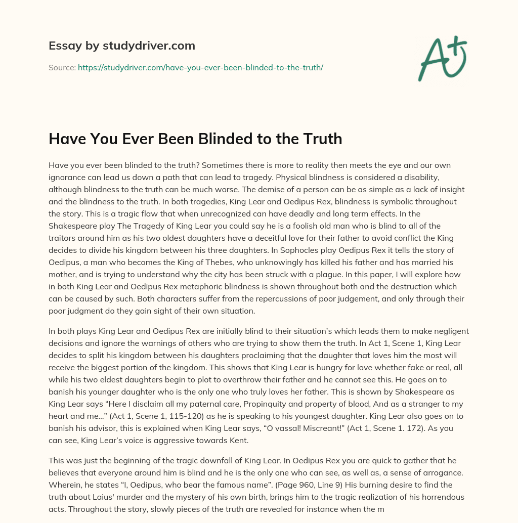 Have you Ever been Blinded to the Truth essay
