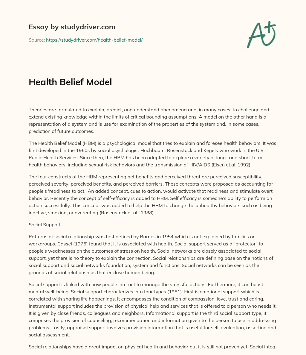 Health Belief Model essay