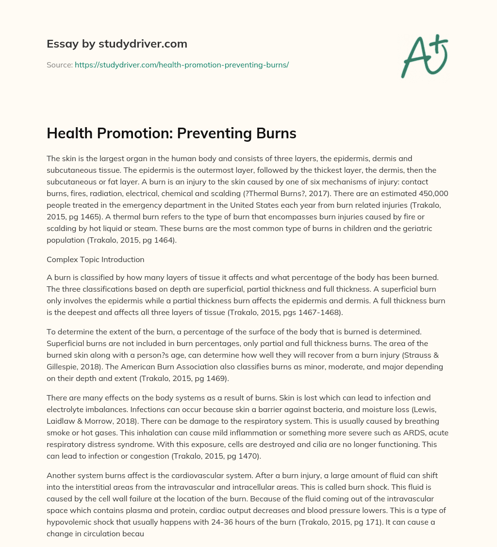 Health Promotion: Preventing Burns essay