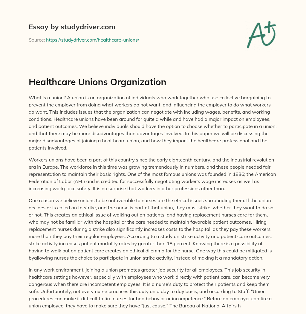 Healthcare Unions Organization essay