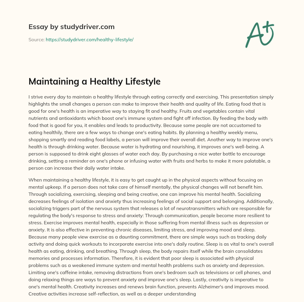 Maintaining a Healthy Lifestyle essay