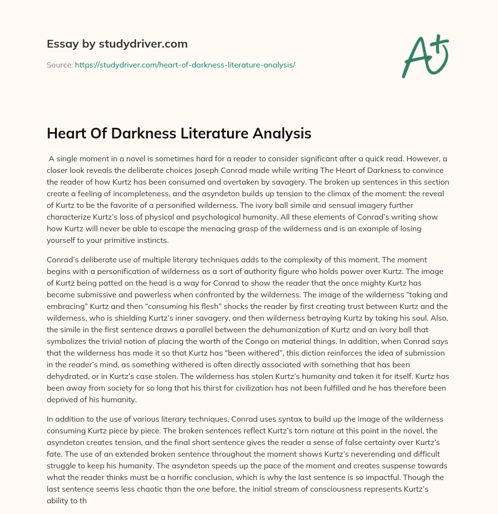 Heart of Darkness Literature Analysis essay
