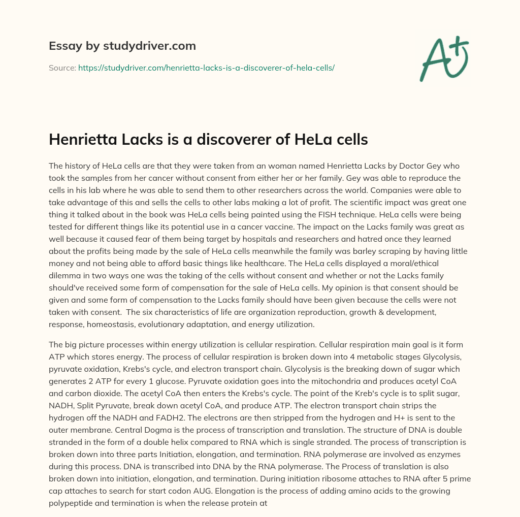 Henrietta Lacks is a Discoverer of HeLa Cells essay