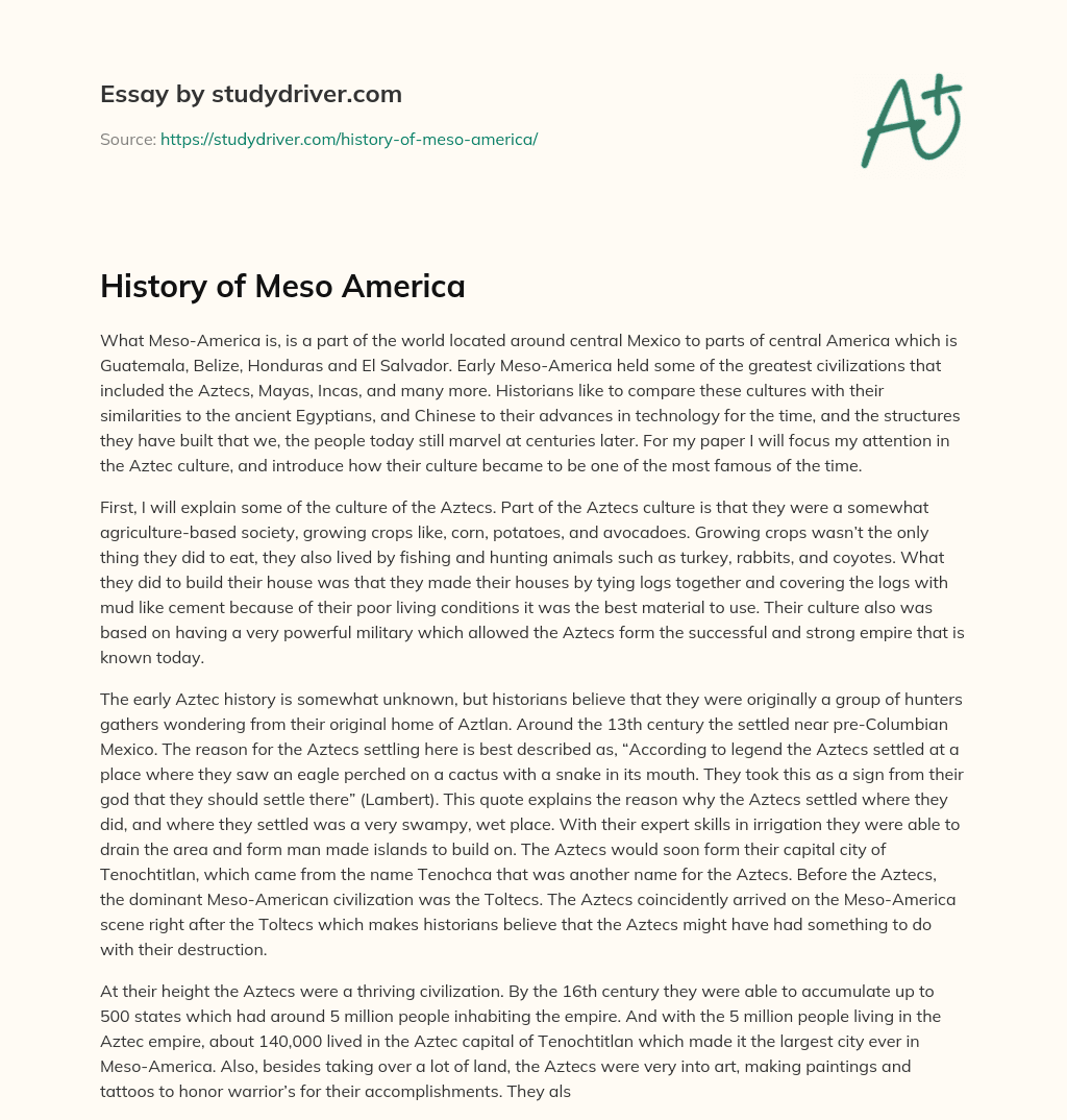 History of Meso America essay