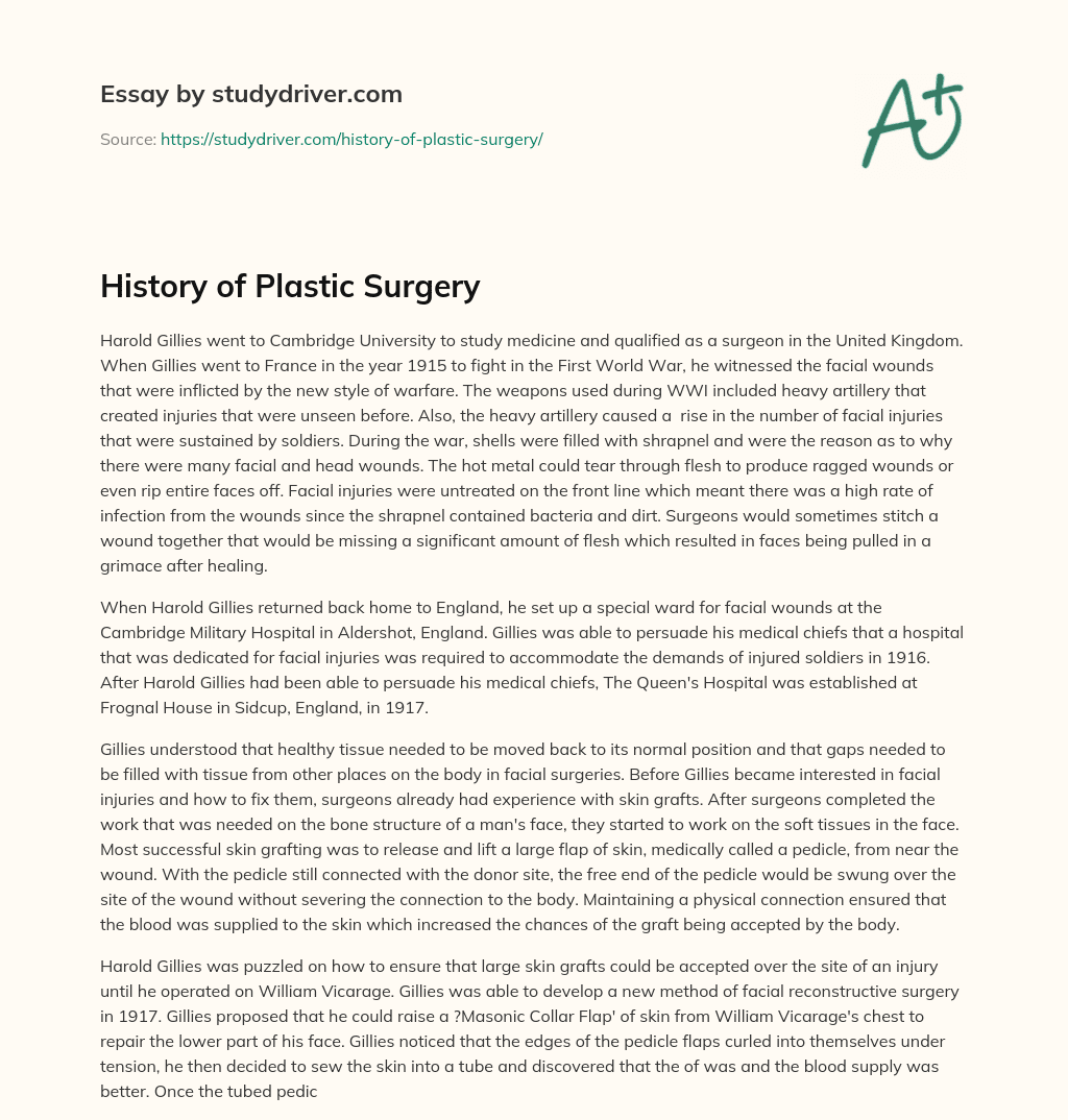 History of Plastic Surgery essay