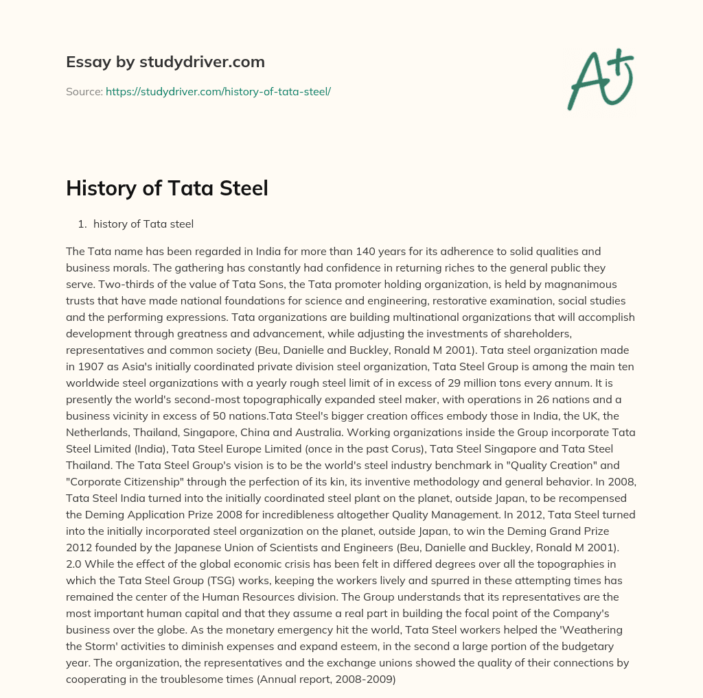History of Tata Steel essay