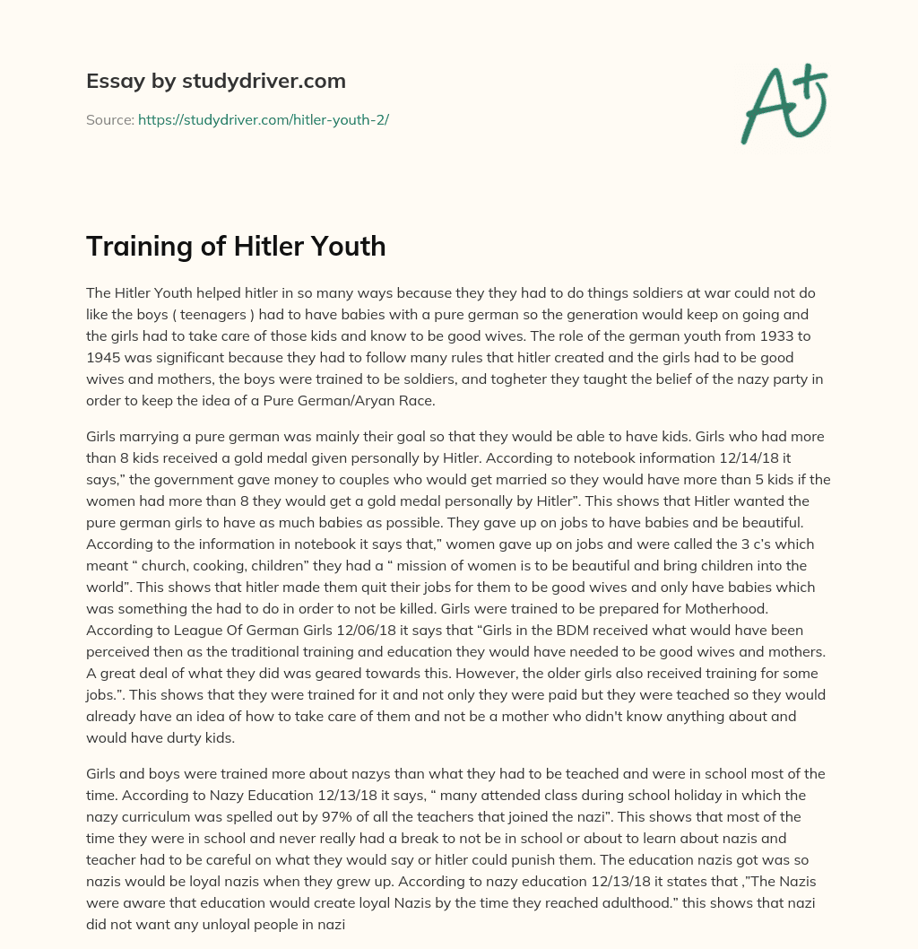Training of Hitler Youth essay