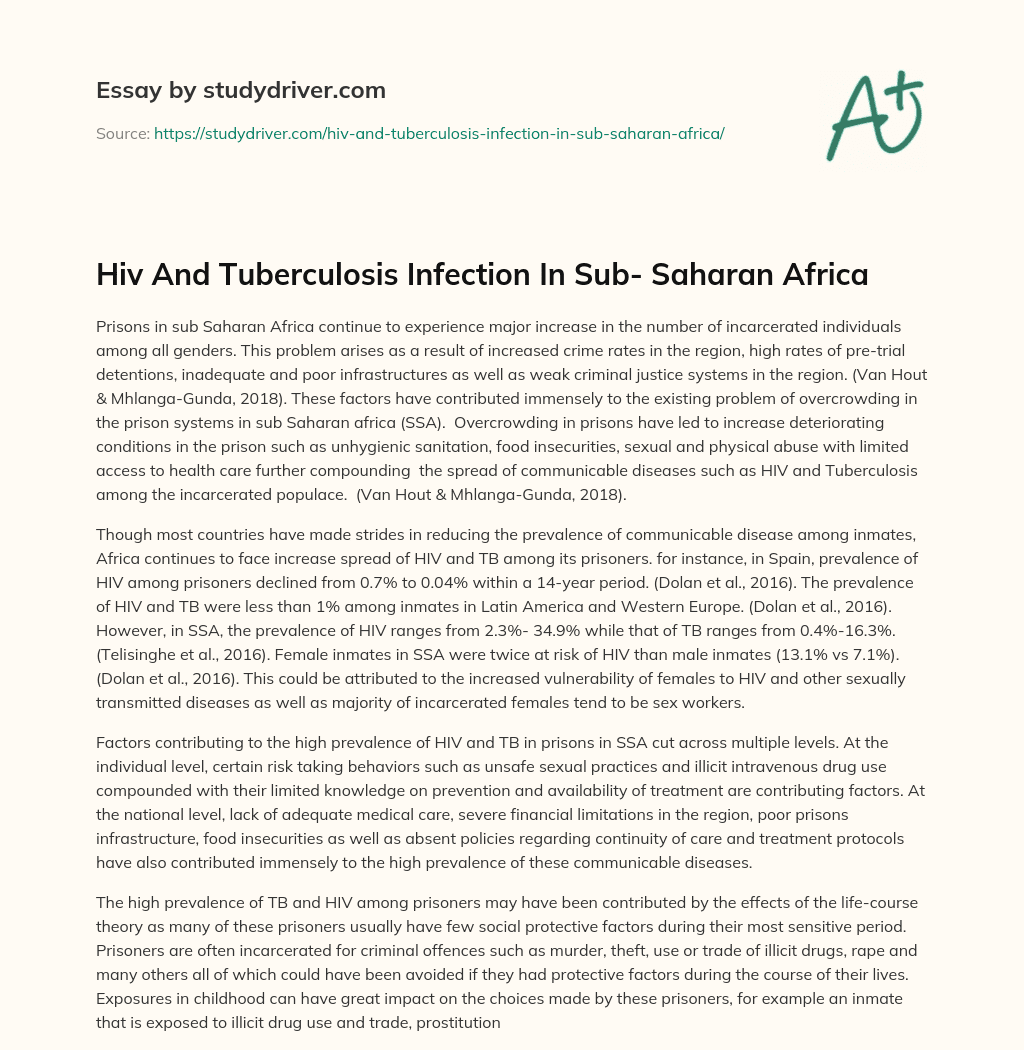 Hiv and Tuberculosis Infection in Sub- Saharan Africa essay