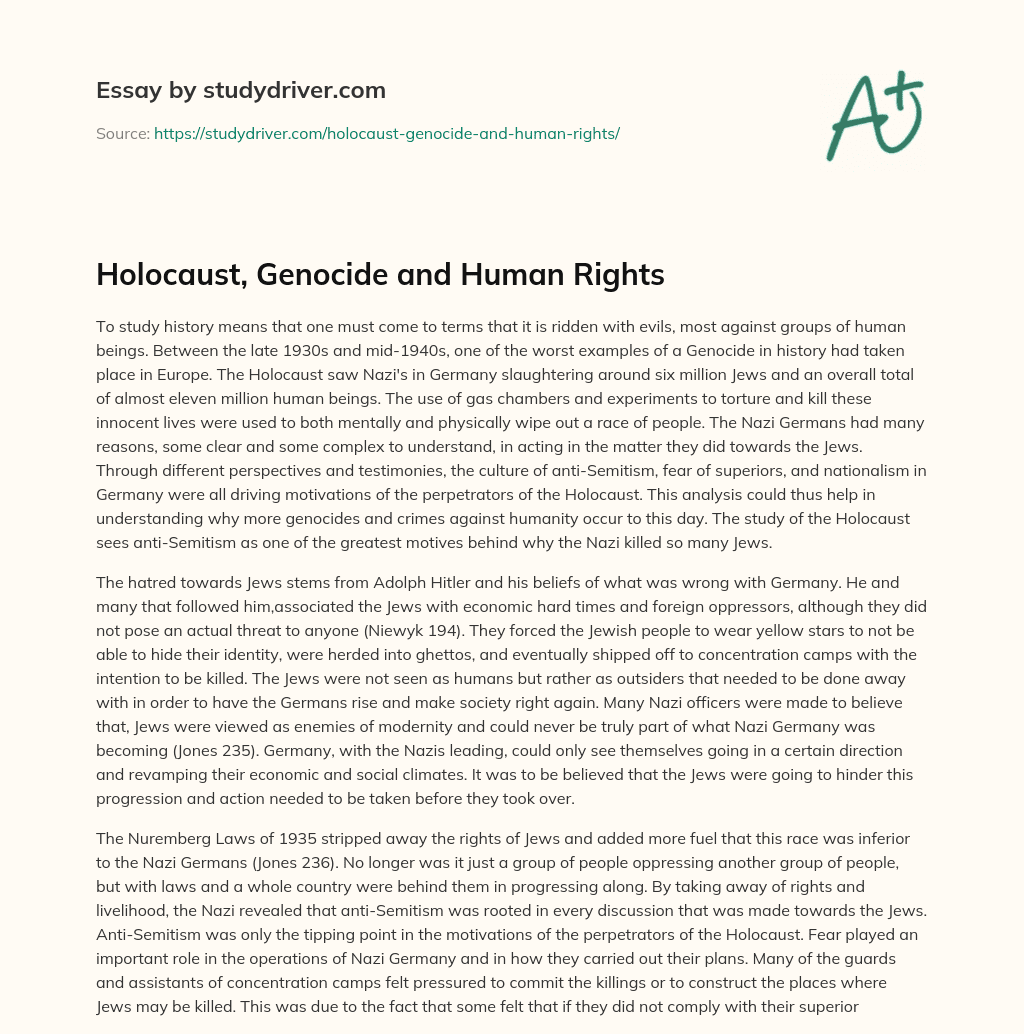 Holocaust, Genocide and Human Rights essay