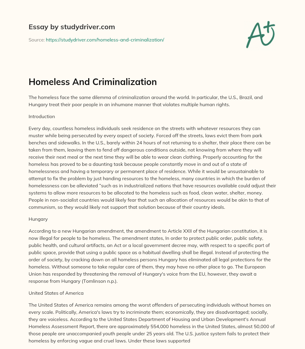 Homeless and Criminalization essay