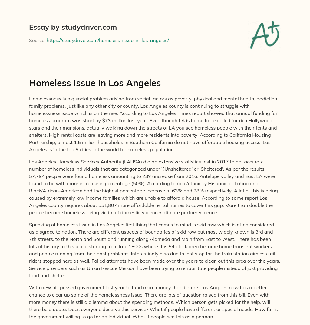 Homeless Issue in Los Angeles essay
