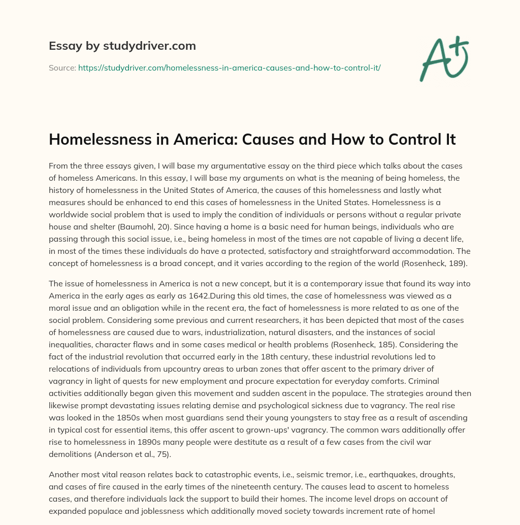 Homelessness in America: Causes and how to Control it essay