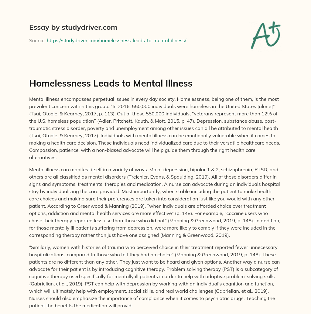 Homelessness Leads to Mental Illness essay