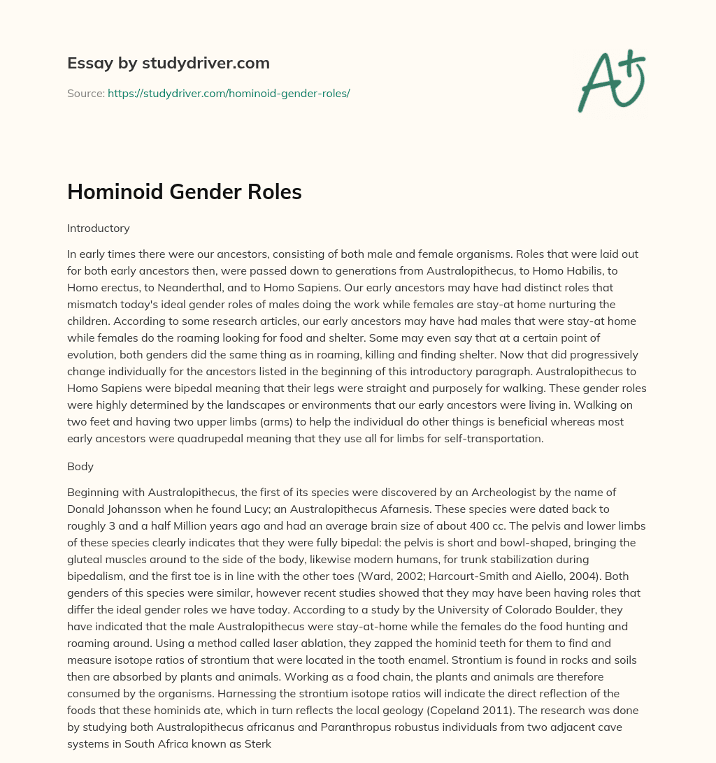 Hominoid Gender Roles essay