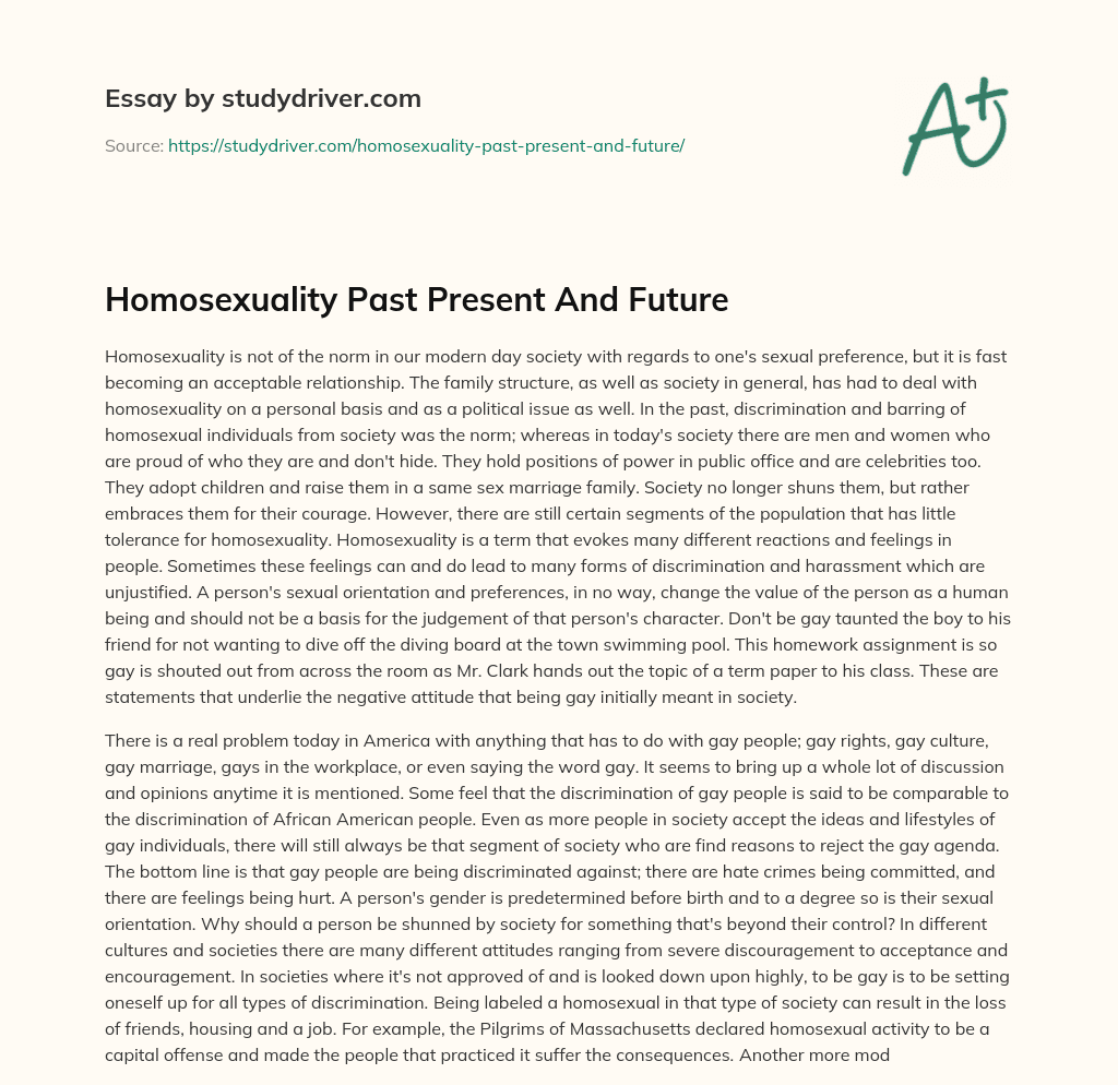 Homosexuality Past Present and Future essay