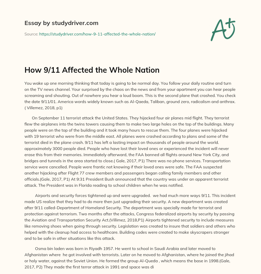 How 9/11 Affected the Whole Nation essay