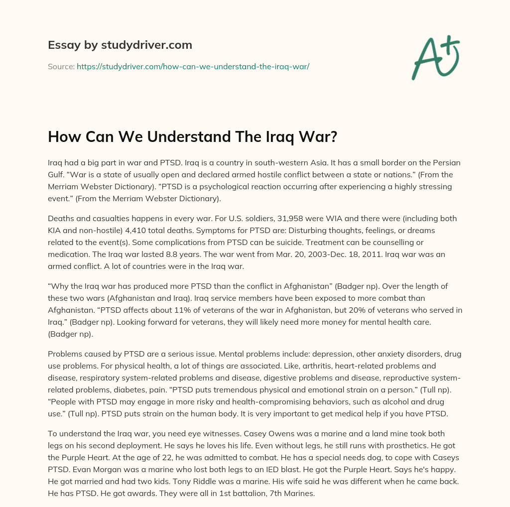 How Can we Understand the Iraq War? essay