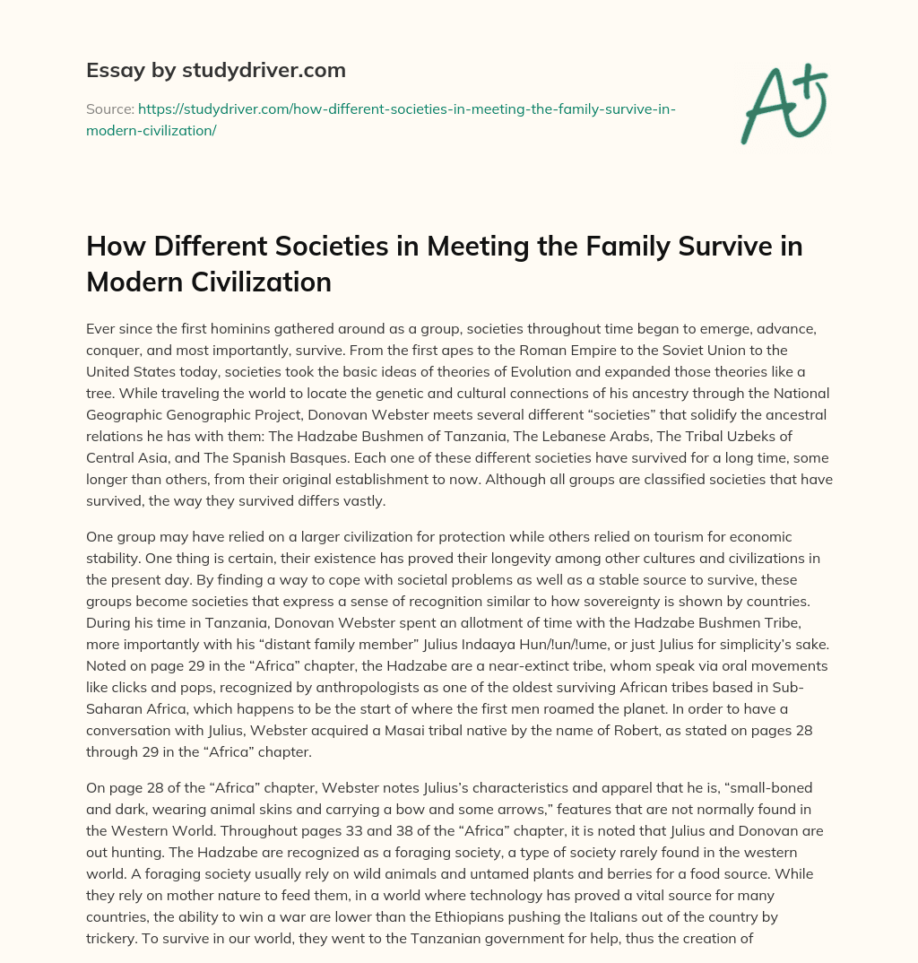 How Different Societies in Meeting the Family Survive in Modern Civilization essay
