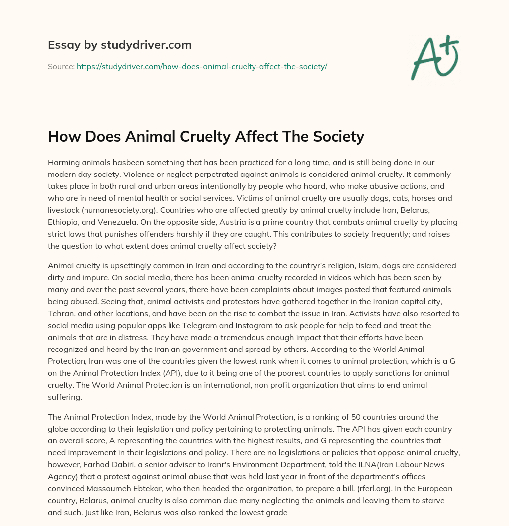 How does Animal Cruelty Affect the Society essay