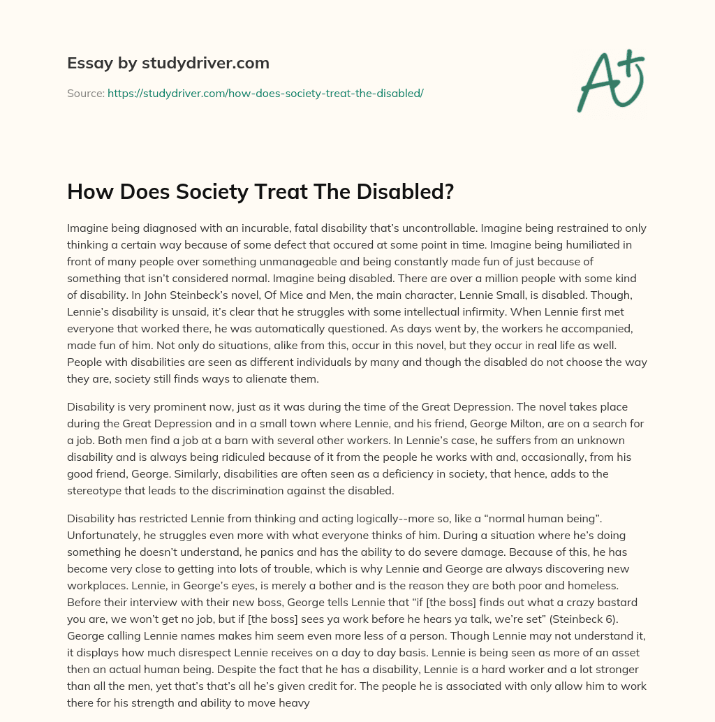 How does Society Treat the Disabled? essay
