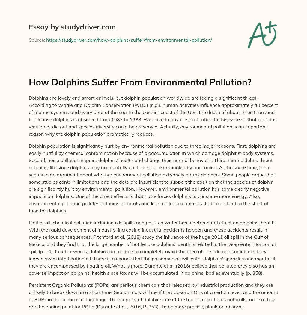 How Dolphins Suffer from Environmental Pollution? essay