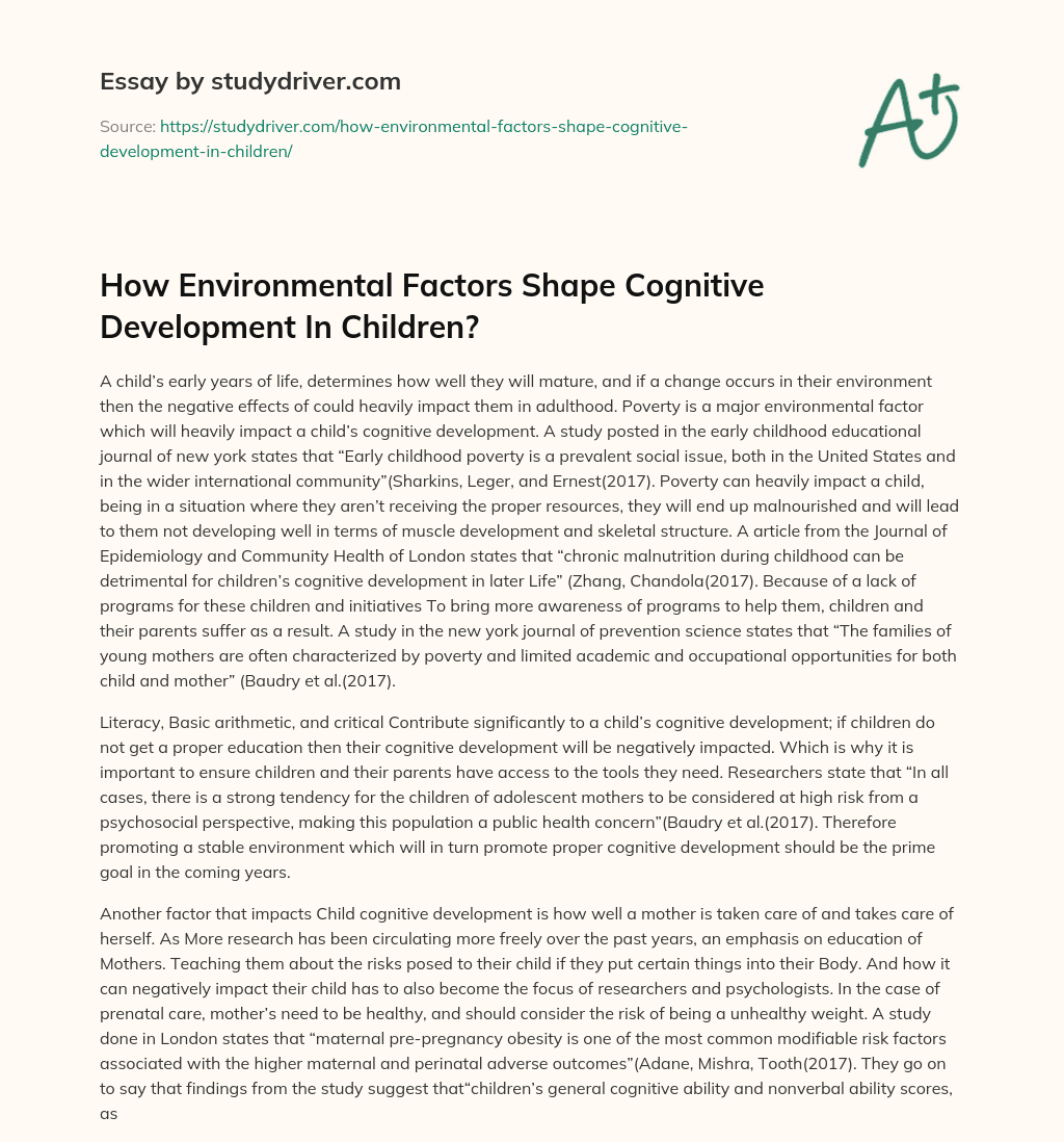 How Environmental Factors Shape Cognitive Development in Children? essay