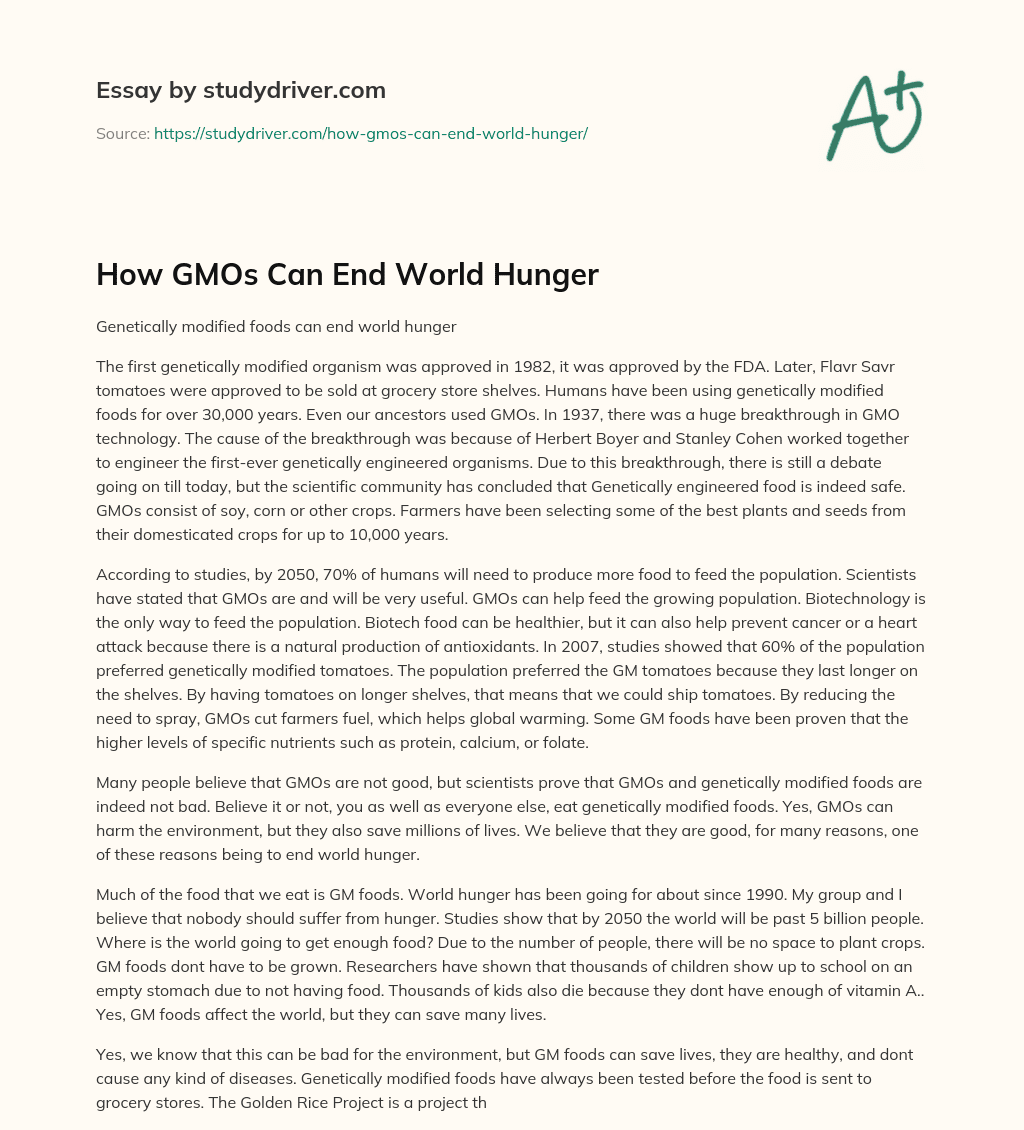How GMOs Can End World Hunger essay