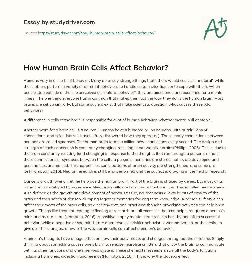 How Human Brain Cells Affect  Behavior? essay