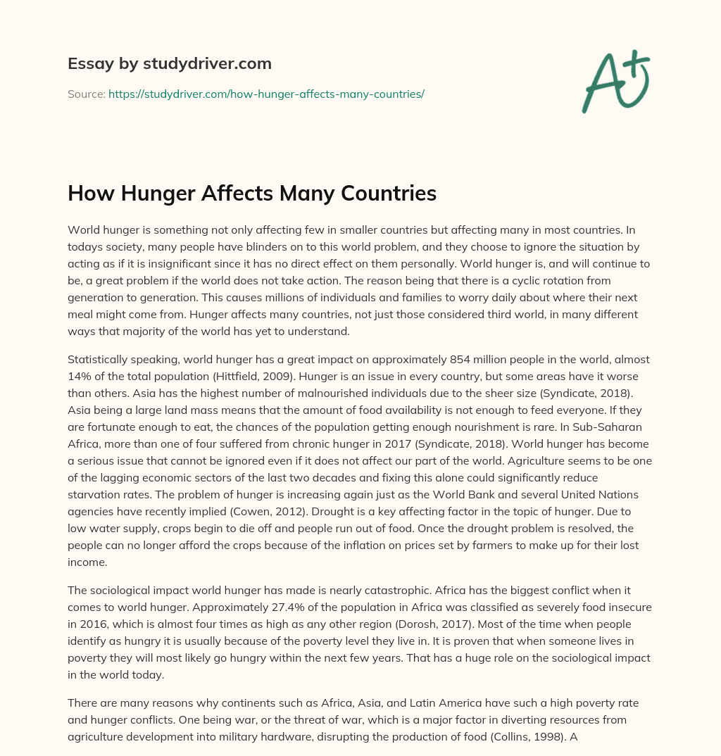 How Hunger Affects Many Countries essay