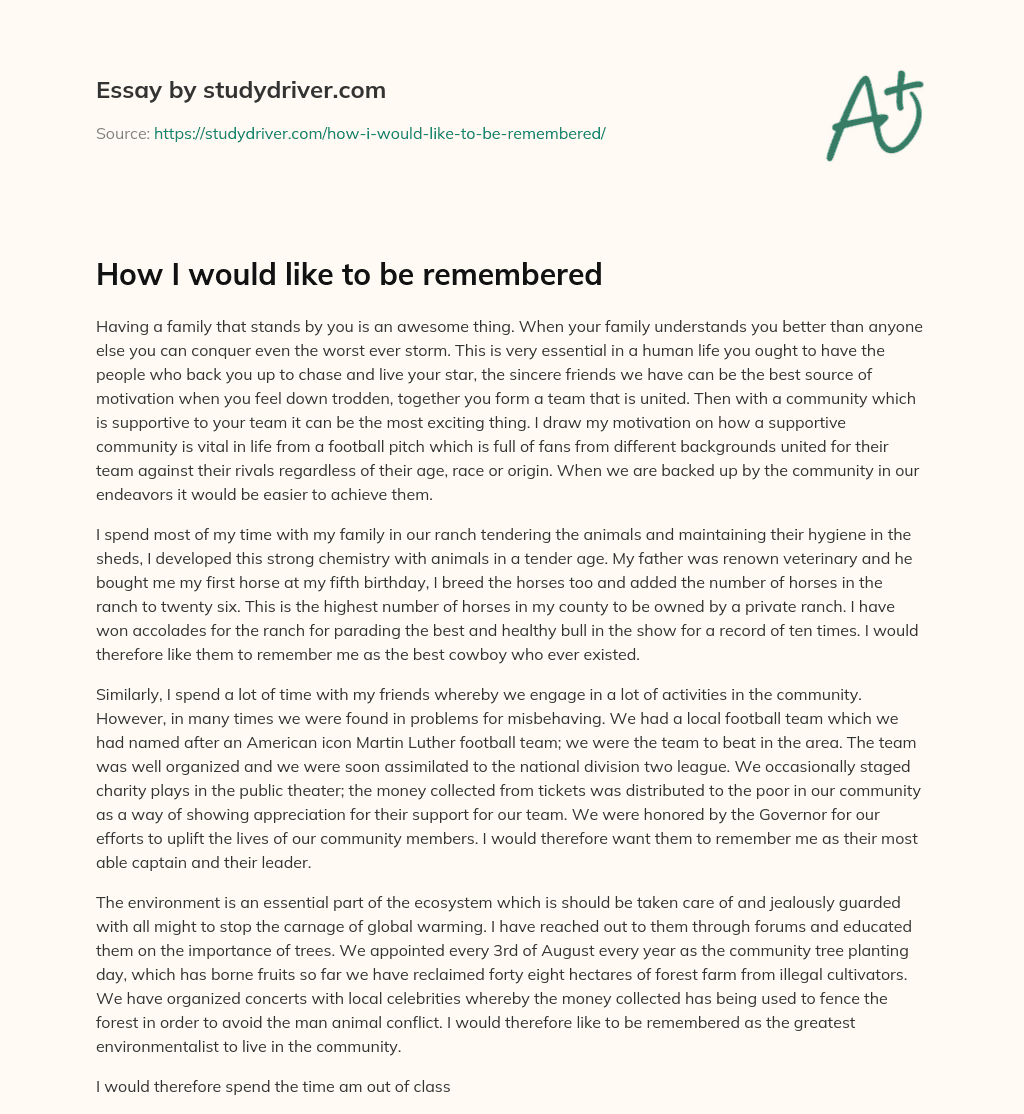 How i would Like to be Remembered essay